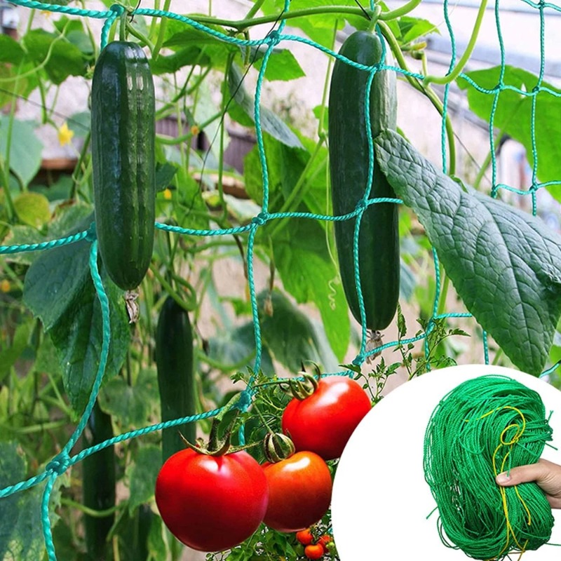Plant Support Trellis Netting Climbing - Plant Climbing Netting Heavy Duty Garden