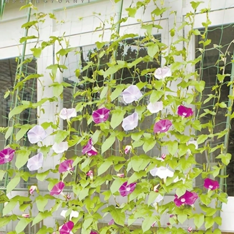 Durable Plant Support-2.7X1.8M - Plant Support Trellis Netting Climbing review and price