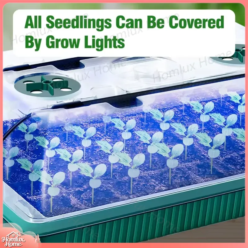 2 Packs Seed Starter Trays wit - Seed Starter Tray Kit With Grow Light review and price